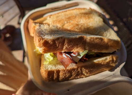 A toasted sandwich with lettuce and bacon, served in a takeout container.