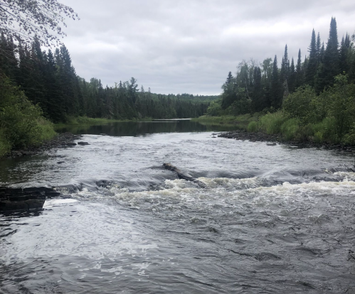 A serene river flows through a lush landscape, surrounded by trees and greenery under a cloudy sky.