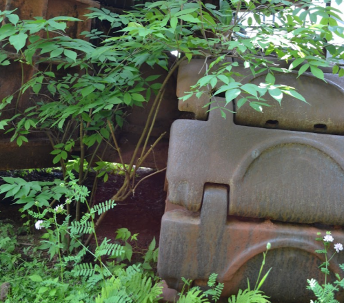 Overgrown vegetation surrounds large, weathered industrial machinery, blending nature with remnants of technology.