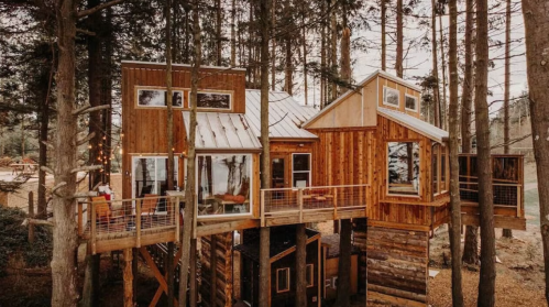 A wooden treehouse nestled among tall trees, featuring large windows and multiple levels.