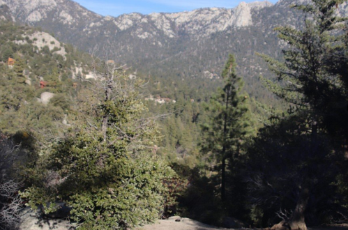 A scenic view of mountains and trees, showcasing a lush green landscape under a clear blue sky.