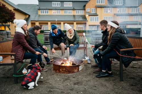 A group of six friends around a campfire, roasting marshmallows, with a small dog in a plaid coat nearby.