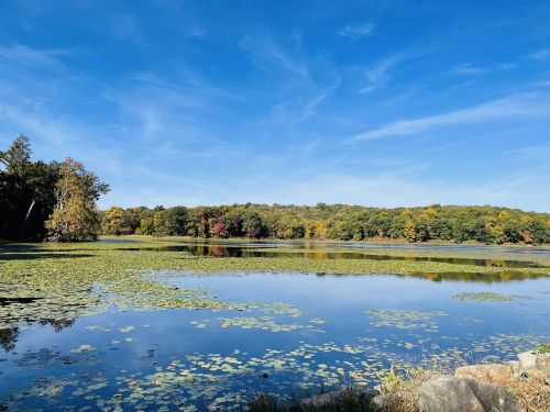 A serene lake surrounded by trees with autumn foliage under a clear blue sky, reflecting the vibrant colors.