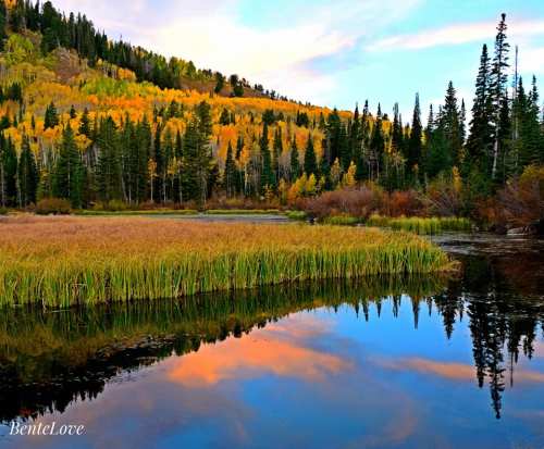A serene landscape featuring a calm lake reflecting autumn trees and a colorful sky, surrounded by lush greenery.