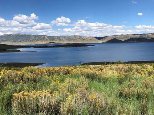 A serene lake surrounded by green grass and yellow wildflowers, with mountains and blue skies in the background.