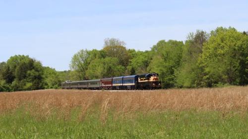 A train travels through a grassy field, surrounded by lush green trees under a clear blue sky.