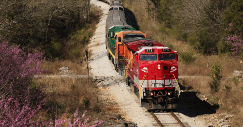A red and green train travels along a winding track surrounded by trees and blooming pink flowers.