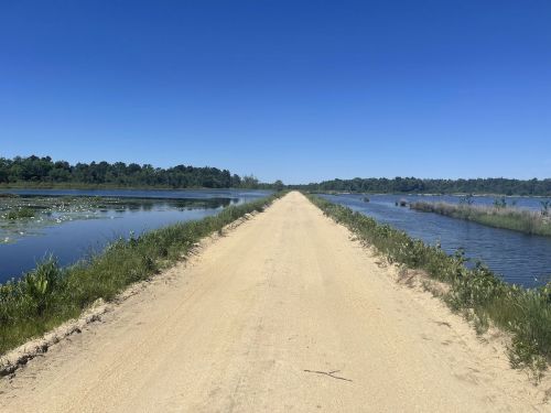 A sandy path stretches between two calm water bodies under a clear blue sky, surrounded by greenery.