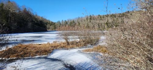 A serene winter landscape featuring a frozen lake surrounded by bare trees and a clear blue sky.