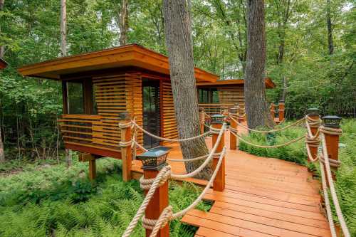 A modern wooden cabin nestled in a forest, connected by a rope bridge and surrounded by lush greenery.