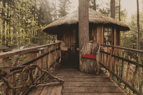 A cozy wooden treehouse with a thatched roof, surrounded by trees and a rustic wooden deck.