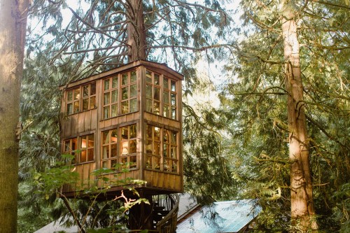 A wooden treehouse with large windows, nestled among tall trees in a lush forest.