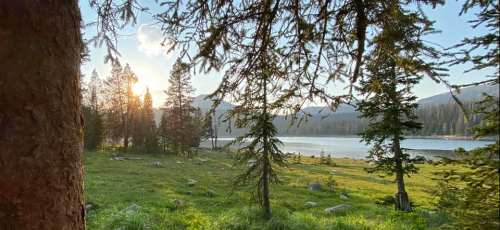 A serene lakeside scene at sunrise, framed by trees and grassy land, with mountains in the background.