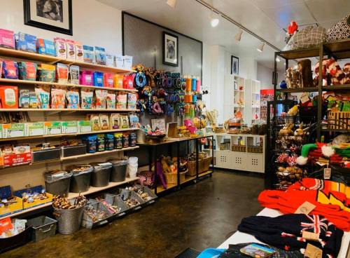 A colorful retail store interior with shelves of products, including snacks, toys, and clothing, creating a vibrant atmosphere.