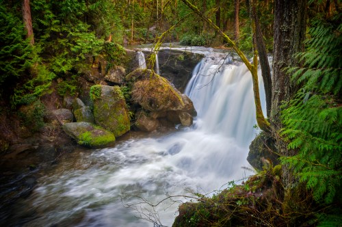 A serene waterfall cascades over rocks, surrounded by lush green trees and foliage in a tranquil forest setting.