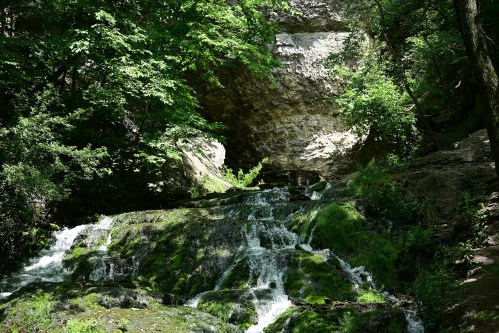 A serene waterfall cascades over mossy rocks, surrounded by lush green trees and a rocky overhang.
