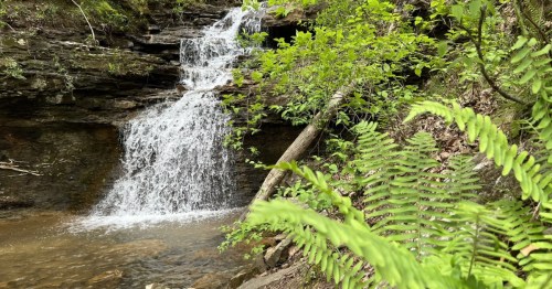 Alabama Waterfall Loop: 6 Scenic Waterfalls Worth Visiting