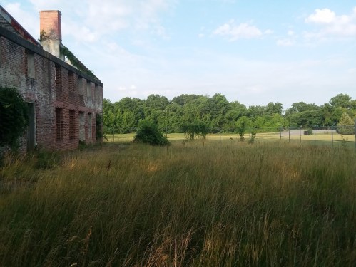 Abandoned brick building surrounded by tall grass and trees under a blue sky.