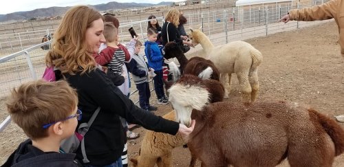 A group of children and adults petting various animals at a farm, with mountains in the background.