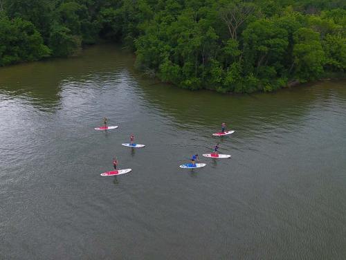 Aerial view of several people paddleboarding on a calm river surrounded by lush green trees.