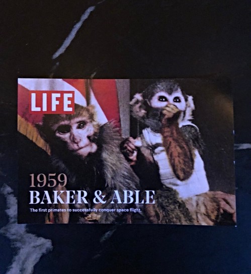 Image of a magazine cover featuring two monkeys, Baker and Able, with the text "1959" and "The first primates to successfully conquer space flight."
