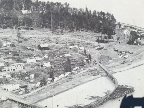 Aerial view of a coastal settlement with houses, a pier, and surrounding trees, captured in black and white.