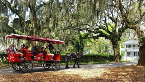 A horse-drawn carriage with passengers travels down a tree-lined street, draped in Spanish moss. A white house is in the background.