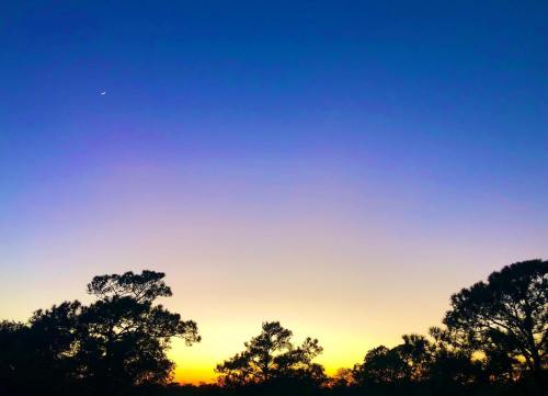 A serene sunset sky transitioning from deep blue to warm orange, silhouetted by dark tree outlines.