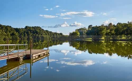 A serene lake scene with a wooden dock, surrounded by trees and reflecting clouds in the calm water.