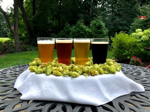 Four glasses of beer in varying colors arranged on a white cloth surrounded by green hop flowers, set in a garden.