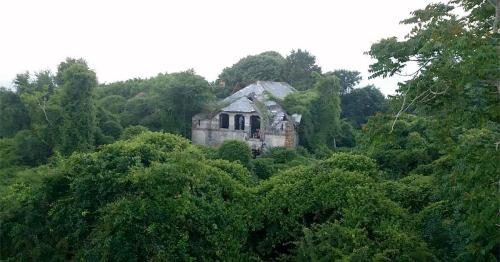 An overgrown, abandoned building surrounded by dense greenery and trees under a cloudy sky.