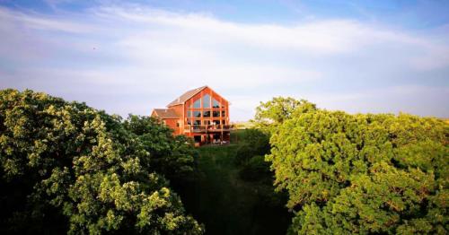 A modern wooden house surrounded by lush green trees under a clear blue sky.