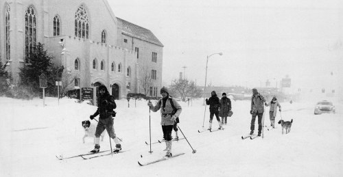 A group of people skiing down a snowy street near a church, with dogs accompanying them in a winter storm.