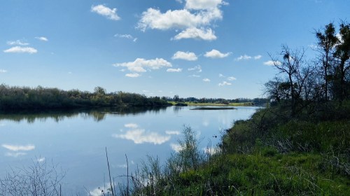 A serene river scene with clear blue skies, fluffy clouds, and lush greenery along the water's edge.