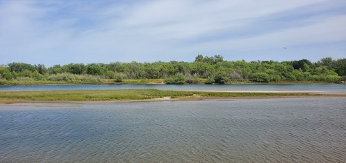 A serene river scene with lush green trees lining the banks and calm water reflecting the sky.