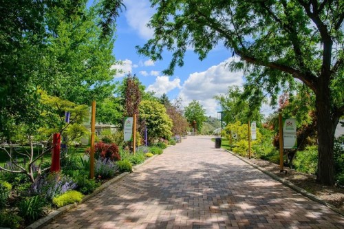 A scenic pathway lined with colorful plants and trees, under a bright blue sky with fluffy clouds.