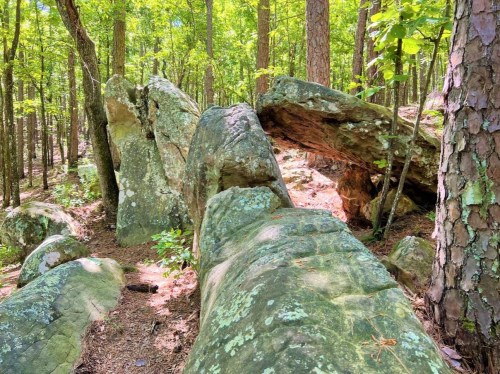 A rocky formation in a lush green forest, surrounded by tall trees and dappled sunlight.