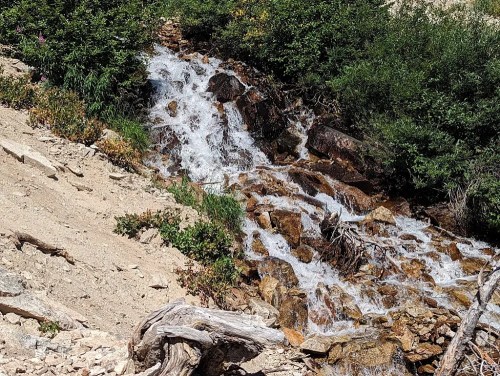 A small waterfall cascades over rocky terrain, surrounded by lush greenery and dry earth.
