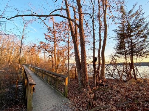 A wooden boardwalk winds through trees beside a calm lake at sunset, with autumn leaves scattered on the ground.