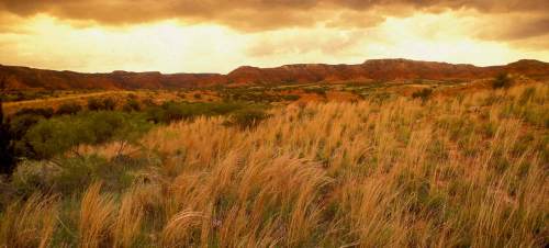 A scenic view of rolling hills and tall grass under a dramatic, cloudy sky at sunset.