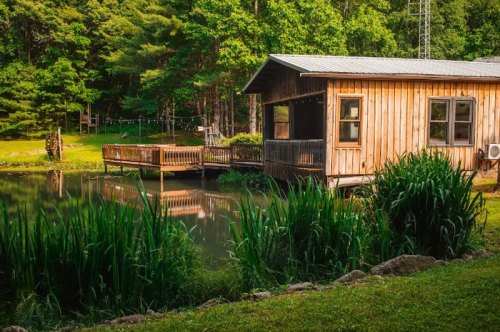 A wooden cabin by a serene pond, surrounded by lush greenery and reflecting trees in the water.