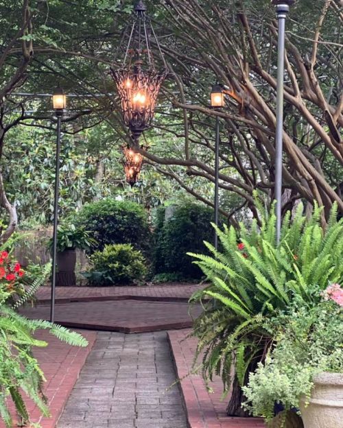 A serene garden path lined with lush greenery and hanging lanterns, leading to a tranquil outdoor space.