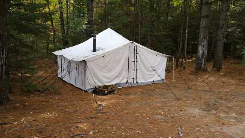 A white canvas tent with a chimney, set in a forested area with pine needles on the ground.