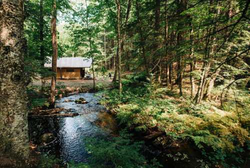 A serene forest scene featuring a small cabin beside a flowing stream, surrounded by lush greenery and trees.