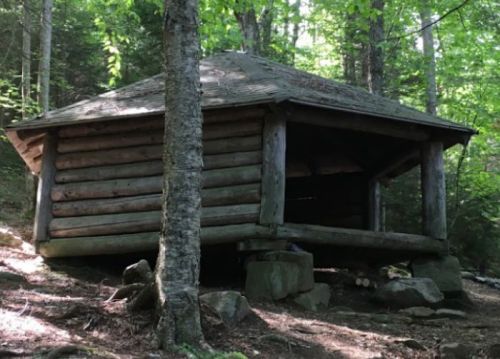 A rustic log shelter nestled among trees in a forest, with a sloped roof and open front.