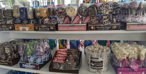 A colorful display of various candy treats, including marshmallows, cookie pops, and lollipops on shelves.