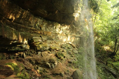 A serene waterfall cascades over rocky cliffs, surrounded by lush green foliage and dappled sunlight.