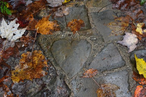 A heart-shaped stone surrounded by wet leaves on a cobblestone path.