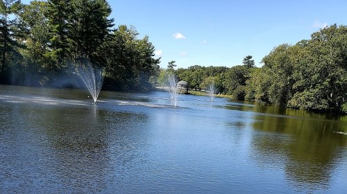 A serene pond with fountains, surrounded by lush trees and a clear blue sky.
