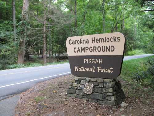 Sign for Carolina Hemlocks Campground in Pisgah National Forest, surrounded by trees and near a road.